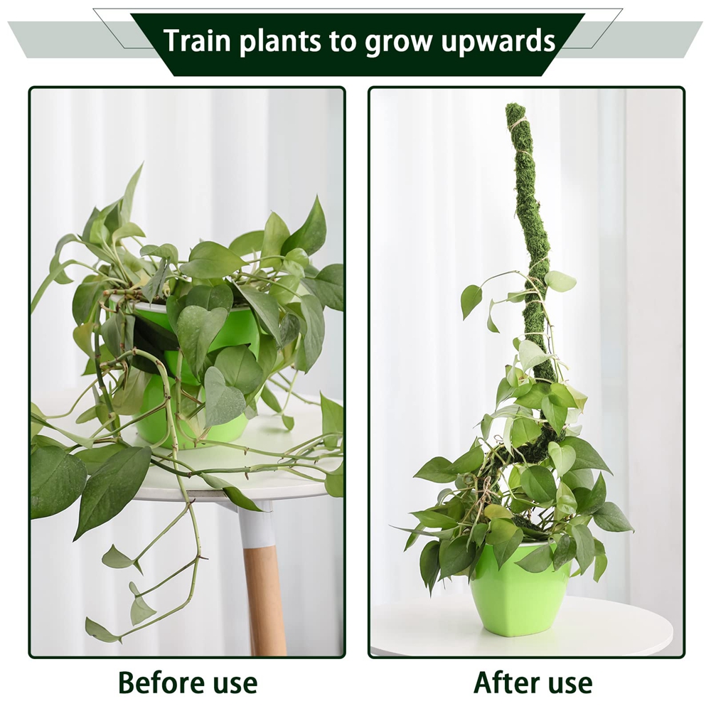 Mospaal Buigbare Plant Stakes Handgemaakte Slanke Monstera Plant Ondersteuning Mos Plant Sticks Ondersteuning voor Grote Indoor Pot