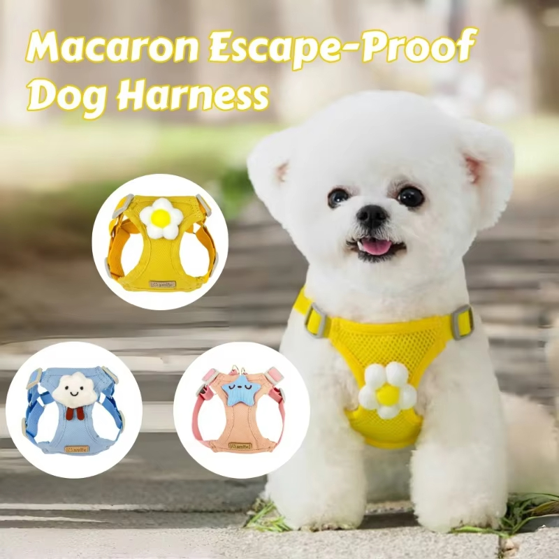 Adjustable Vest-Style Dog Cat Harness and Leash Set Dog Accessories for Small Dogs Walking Pet Vest Harness