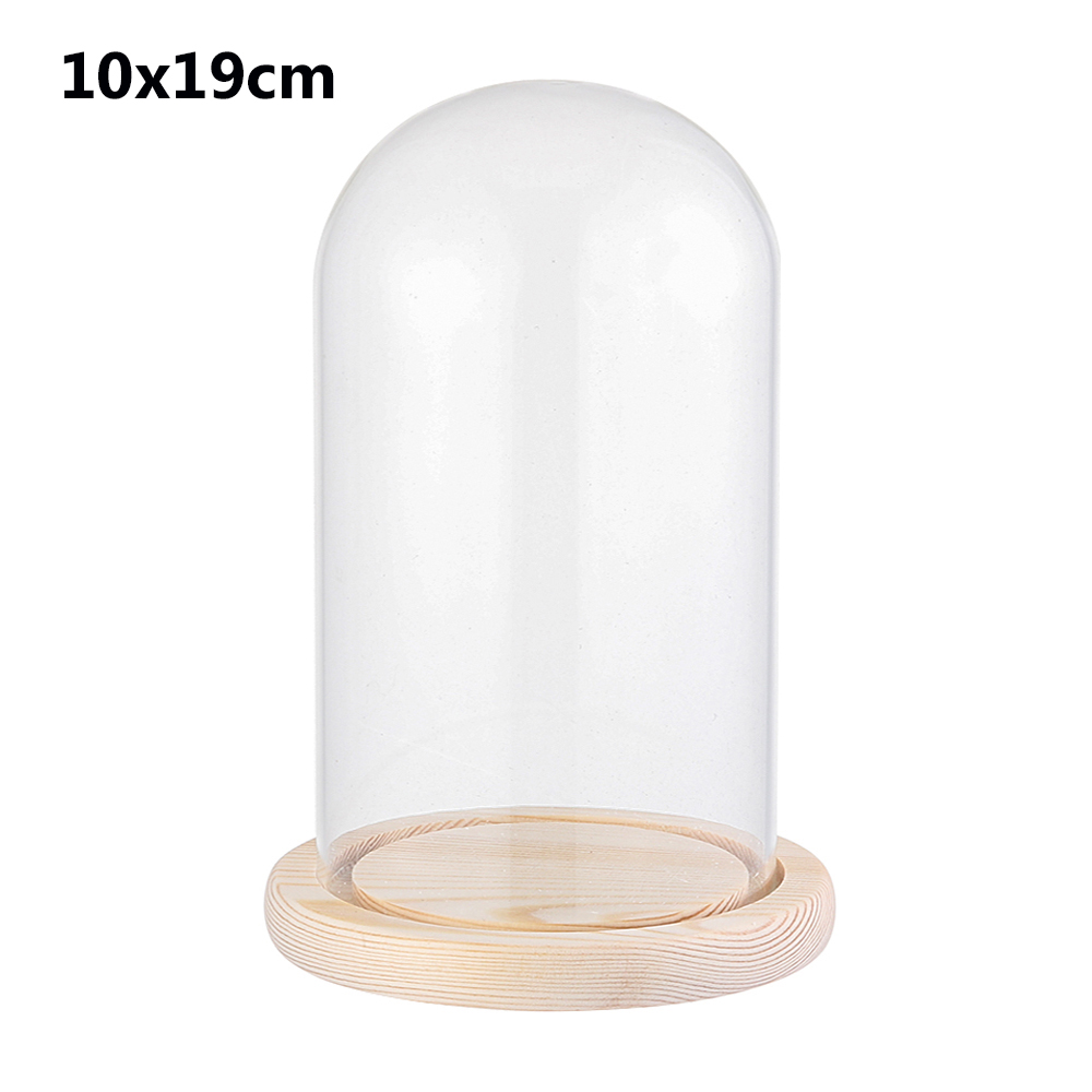 Glas cloche krukke display stand dække terrarium flaske med træ base akryl støv dække display kasse udødelig blomsteræske: 10 x 19cm