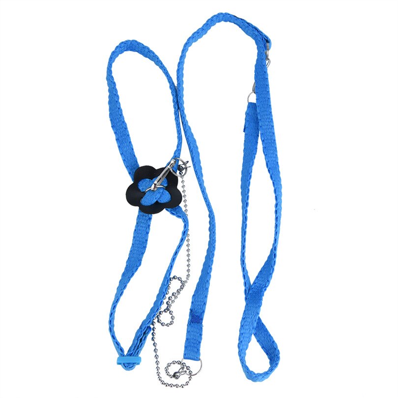 Correa ajustable para pájaros, arnés para exteriores, cuerda de entrenamiento, banda antimordida para entrenamiento de aves y accesorios para palomas