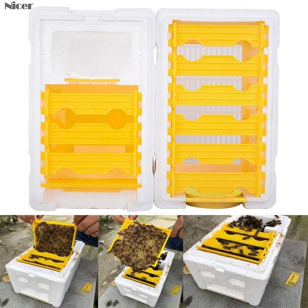 Harvest Bee Hives Box Foam Beekeeping King Box Pollination For Bee Pollination Beekeeping Equipment Tool Home Hive House Case