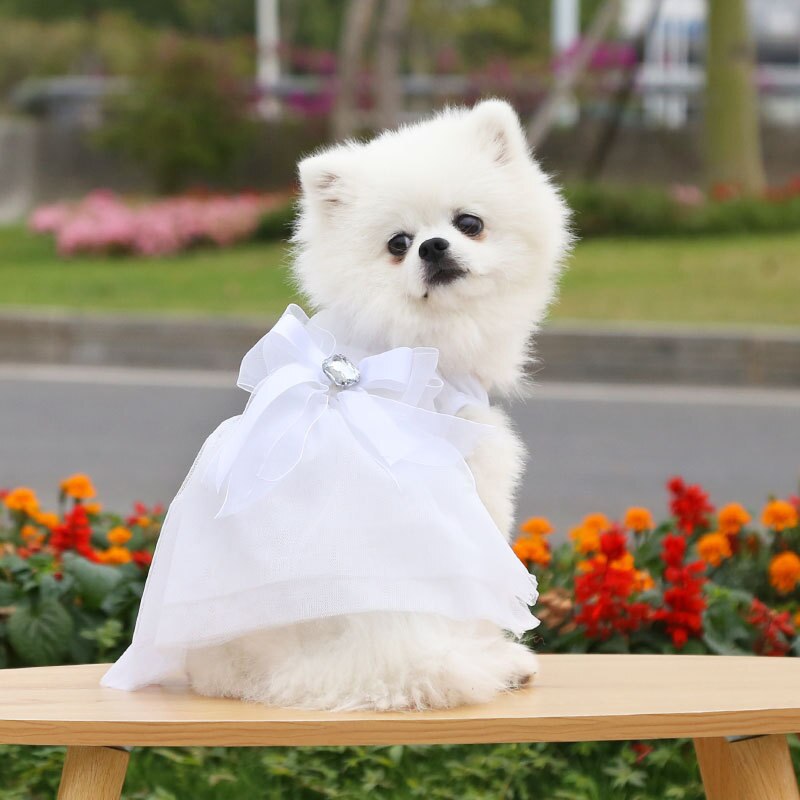 Sweet Pet Dress Cute Dog Wedding Dress Cat Princess Dress Sweet Bow Skirt Pet Supplies Bowknot Pet Dress Spring Summer Clothes: white / XL