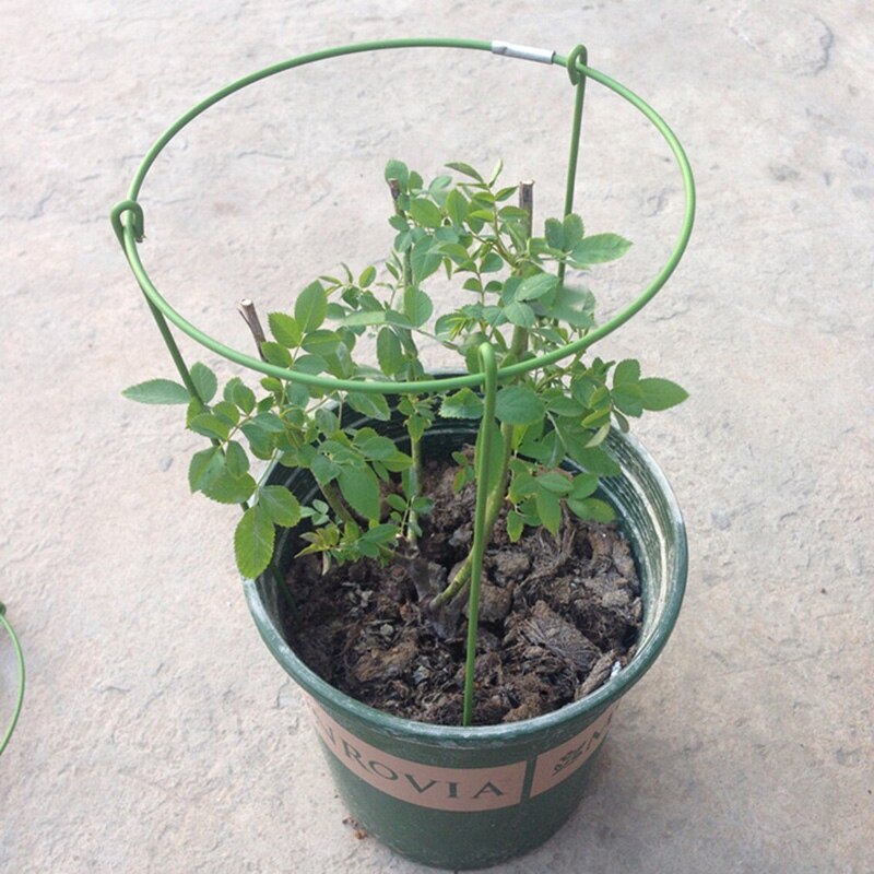 Metal Garden DIY Plant Support Frame Stake Ring Peony Herbaceous Plant Flower Stand Artificial Climbing Trellis Garden Decor