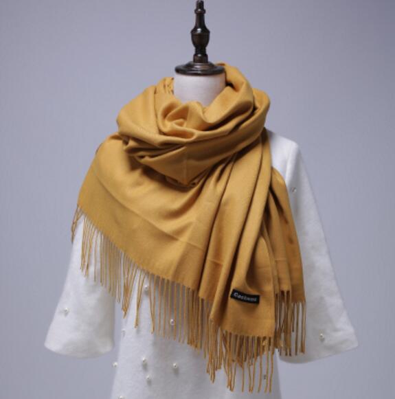 Winter Women Scarf Solid double-side Soft Cashmere Scarves Shawl And Wraps Bandana Female Foulard Tassel: color 16