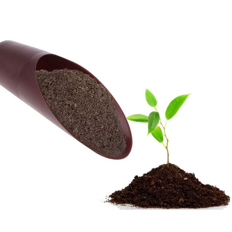 Seau de pelle Mini outils de plantation à main de jardin d'intérieur, petite pelle râteau-pelle outils de sol succulents pour jardinage d'intérieur