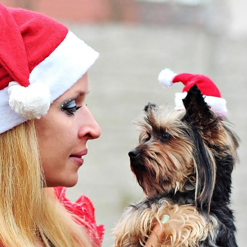 Winter Warme Kerst Pet Kat Hond Kerstman Hoed Christmas Xmas Nieuwjaar Pluche Cap Christmas Party Home Huisdier Decoraties