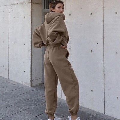 Vrouwen 2 Delige Set Truien + Broek Sportwear Vrouwen Sport Pak Hooded Sweatshirt Set Vrouwelijke Winter Kleding Winter Trainingspak: Bruin / L