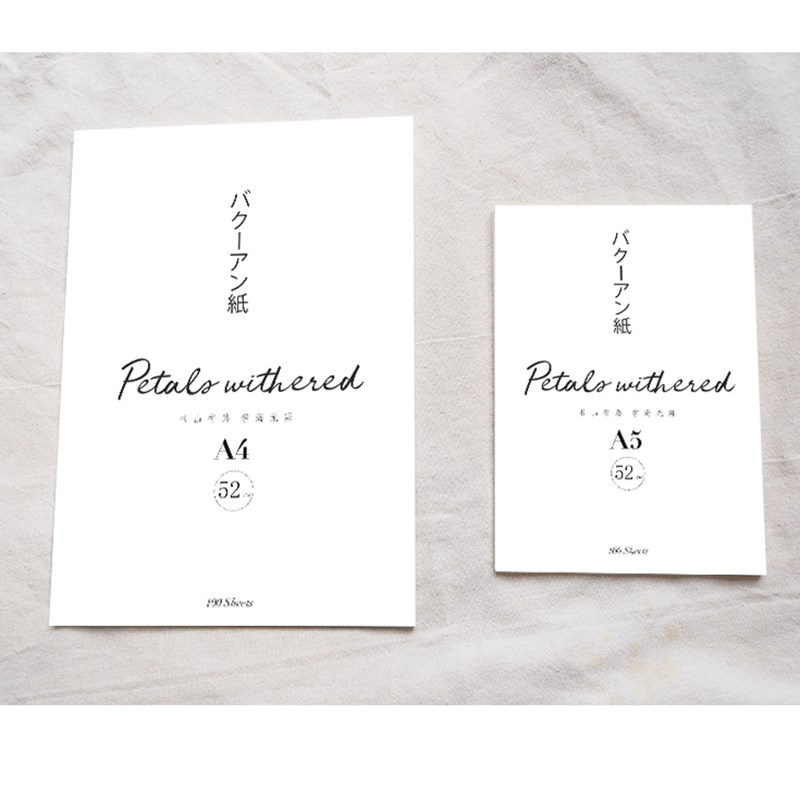 10 Sheets Ultrathin Bachuan Paper Sheen Color Ink Painting Paper For Drawing Painting Hand-Painted Calligraphy Letter Paper