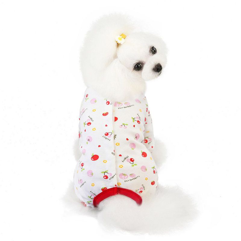 Zwierzęta jesień i zima odporne na zimno kostiumy ciepły brzuch czteronożne psy kombinezony truskawka tęcza Miś pudel słodkie ubrania: C / L