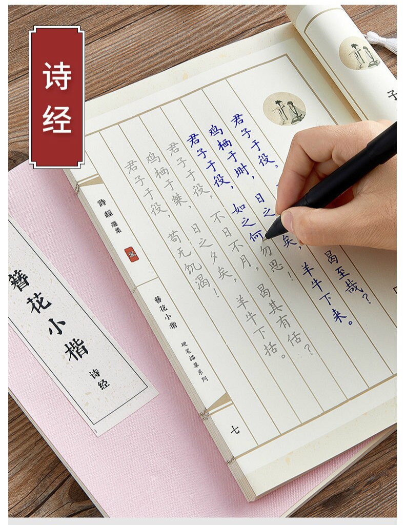 Pen Calligraphy Chinese Classical Regular Script Hard Pen Calligraphy Copybook Adult Exercise Calligraphy Practice Books: D
