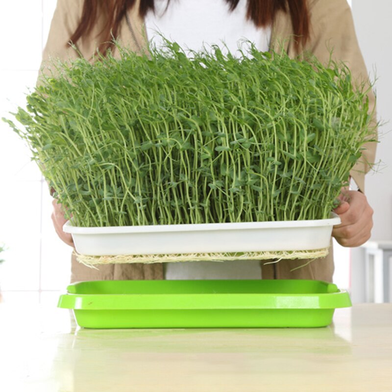 Siementen itämisalusta kannella bpa vapaa pavunversojen kasvattaja itävä siemenalusta, likaantumaton ja suuri kapasiteetti