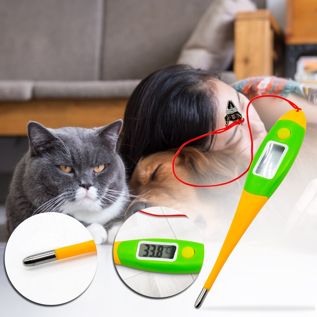 1Pc Intelligente Digitale Thermometer Voor Honden Kat Varken Dieren Elektronische Thermometer Professionele Tools Veterinaire Benodigdheden