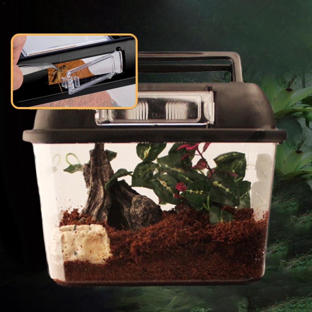 Reptile Terrarium Breeding Incubating Box Spider Frog Box Lizard Snake Turtle Tank Cylinder Cage Fish Tank For Eggs Incubation