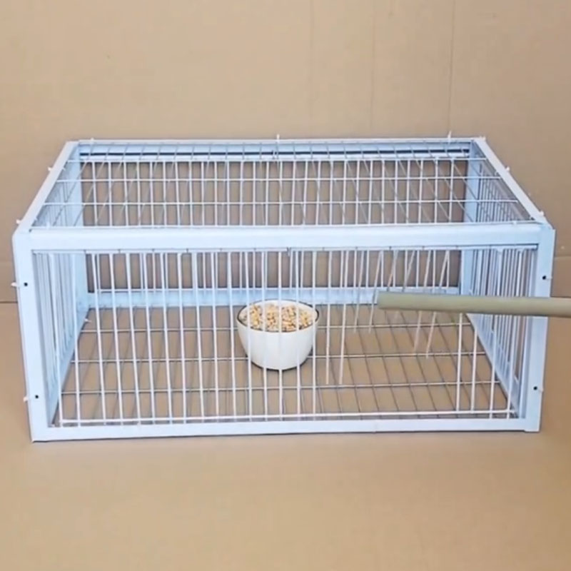 Piège à oiseaux pour pigeons galvanisé pliable au milieu, Cage pour pigeons furaux, voie humaine avec l'entrée unidirectionnelle, piégeage des pigeons, des colombes dans les cages