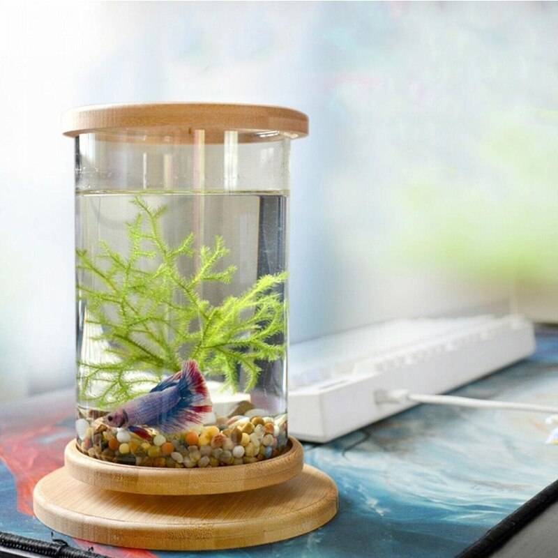 Mini pecera de escritorio con marco de bambú, kit de iniciación para pecera, giratoria Manual de 360 °, decoración perfecta para el hogar y la Oficina