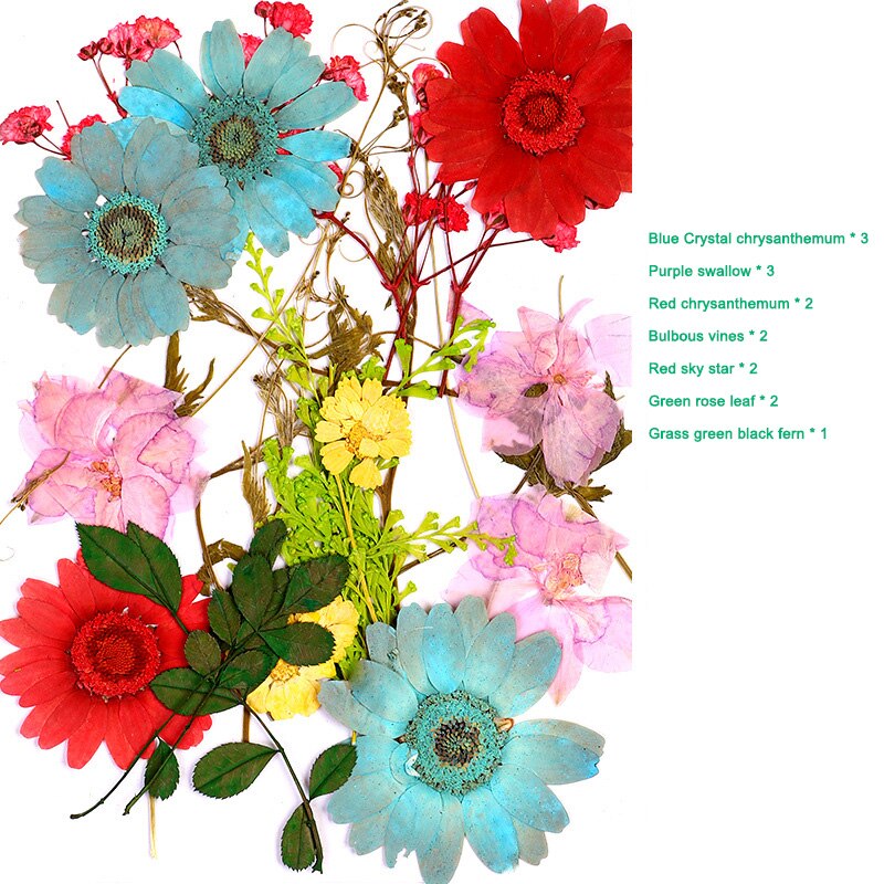 Tache pressée fleur mixte fleurs séchées bricolage Art décors floraux Collection artisanat bricolage fête noël décoration de la maison outil: a 16