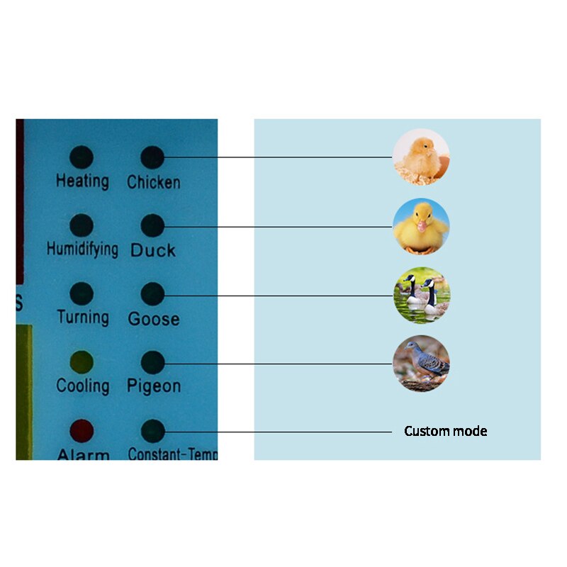 One-Button Incubation Temperature Controller External Microcomputer Controller Egg Incubator Temperature Controller XM18K-1
