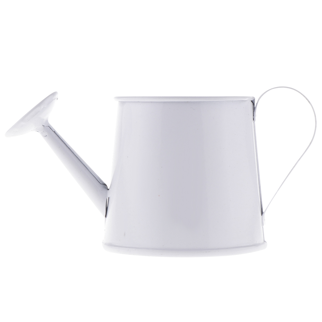 Mini arrosoir en fer en métal, Pot de fleurs en fer, Pot de fleurs de jardin, jardinière de plantes, décoration de la maison: White
