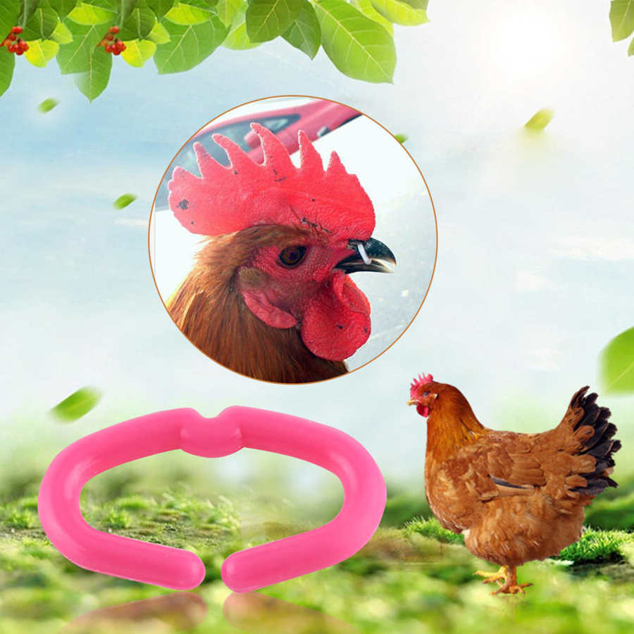 50 st kycklingnäbb spänne kuk mun snap ringar kyckling näbb ringar anti-peck ring verktyg storlek ml