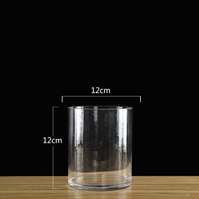 Europa glasvase gennemsigtig klar lige cylinder terrarium glasbeholdere blomstervaser bryllupsvase boligindretning: 12 x 12cm