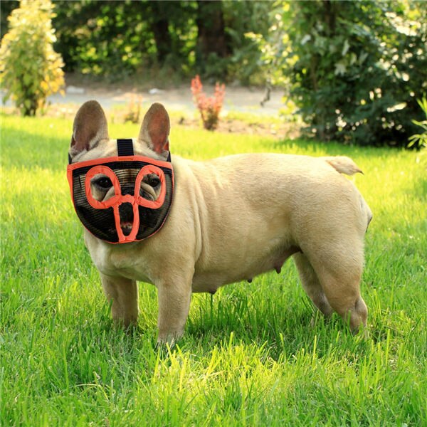 Muzzle For Dog Pet Breathable Mesh Dog Mouth Mask Anti Biting Muzzle for Small Medium Short Snout Dog Pitbull Chihuahua Bulldog: 18--26cm neck cir