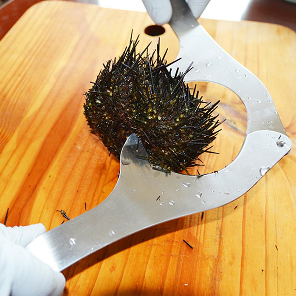 Ciseaux à oursin de mer en acier inoxydable, haute dureté, Anti-déformation, coupe-oursin de mer robuste pour la maison