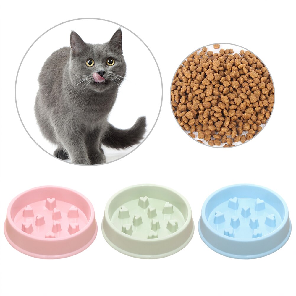 Voerbak voor huisdieren, voerbak voor honden en katten, voerbak voor huisdieren, voerbak voor puppy's, drinkbak voor katten, voer ...