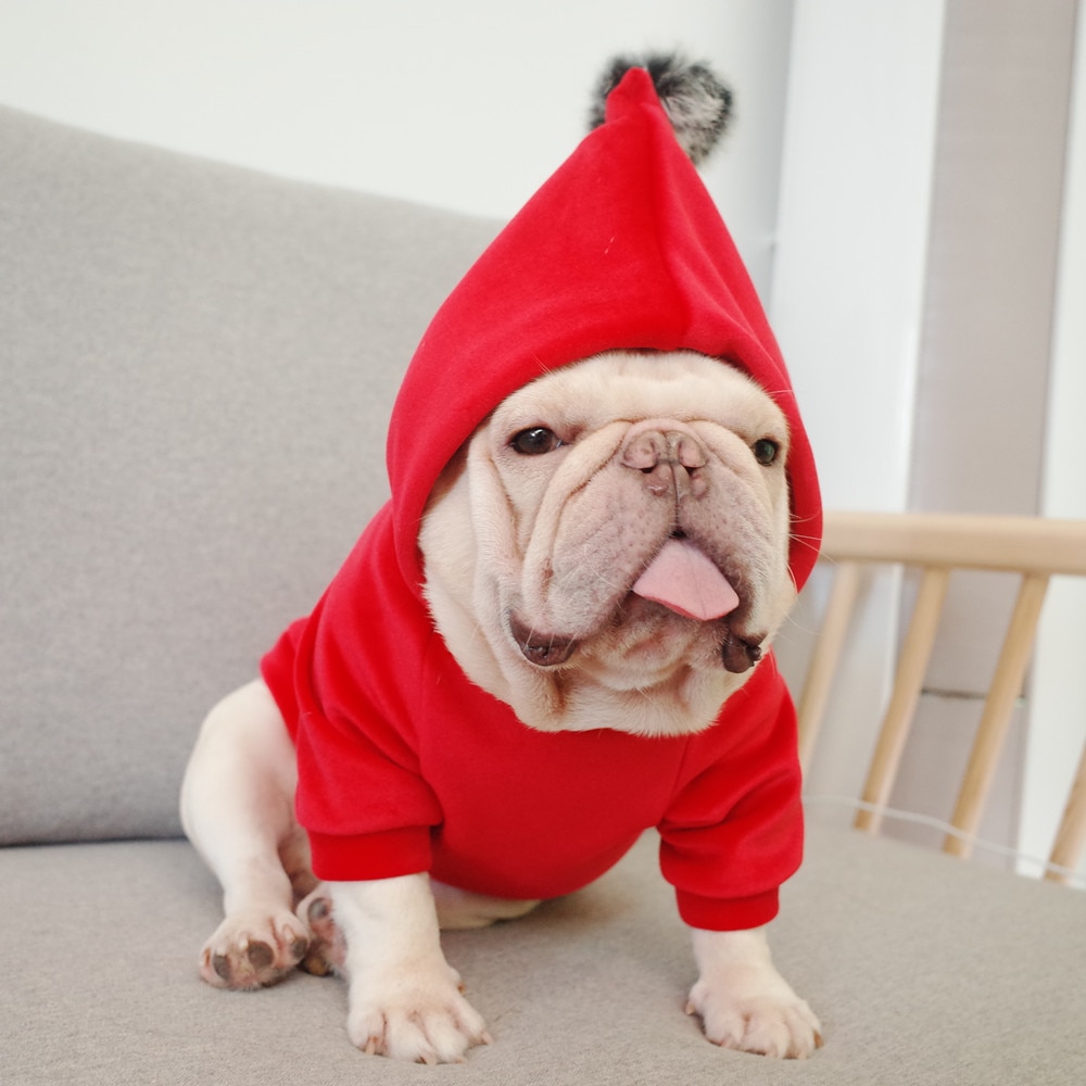 Vêtements d'hiver pour chiens carlin | Vêtements d'hiver français, vêtements à capuche, vêtement pour animaux de compagnie, vêtement pomerien, Schnauzer, Corgi manteau pour chiens