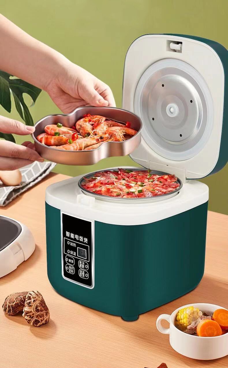 DMWD Mini Rice Cooker Multi-function Single Electric Rice Cooker Non-Stick Household Small Cooking Machine Make Porridge Soup