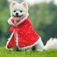 Xmas Sjaal Hond Accessoires Rode Mantel Pak Voor Katten Kerst Jaar Decoraties Voor Honden Kat Kostuum Huisdier Producten Levert