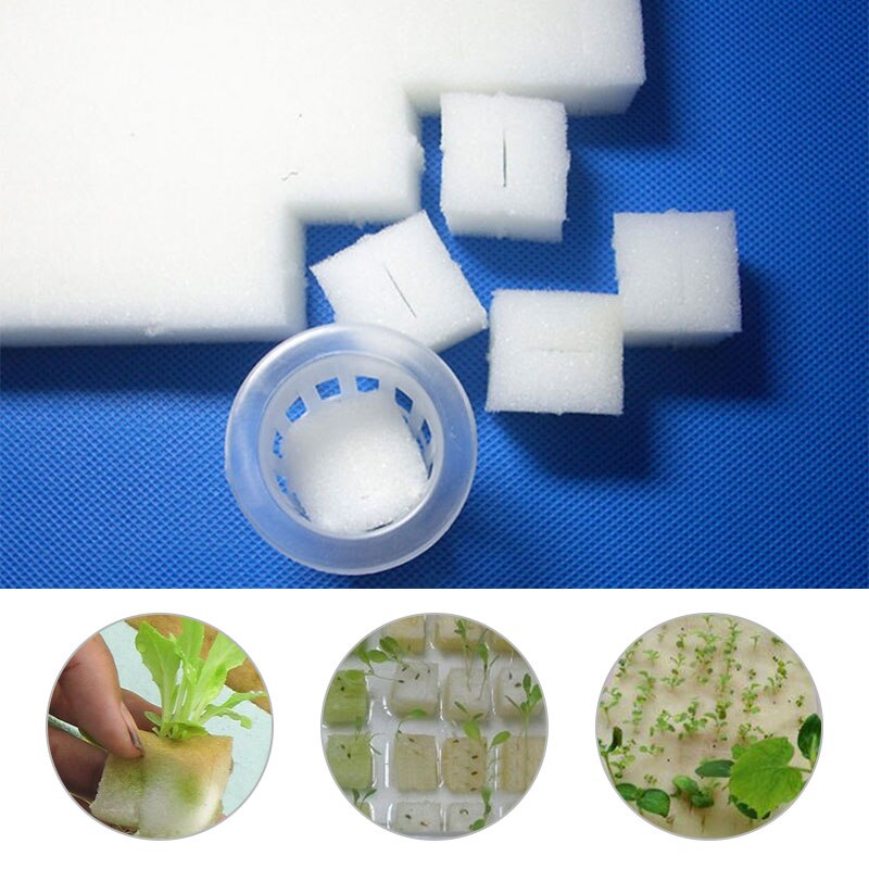 Esponja de poliuretano para cultivo de plantas de semillero, 100 uds, esponja blanca para cultivo, cría Artificial, agricultura, hidroponía