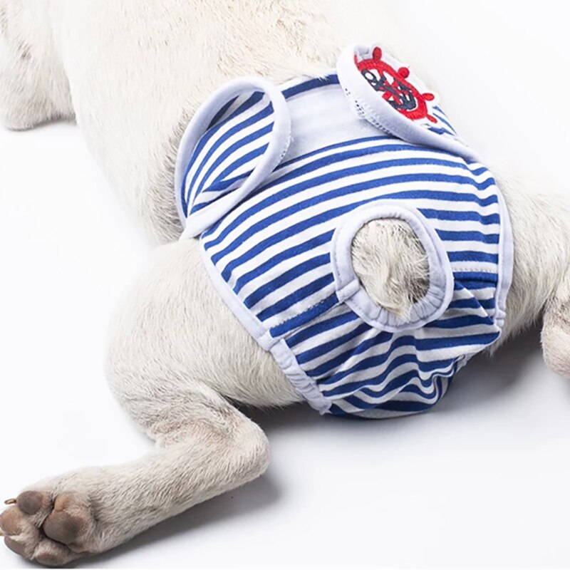 Couches pour chiens femelles, sous-vêtements menstruels, culotte pour chiens Tech de Terek, culottes hygiéniques réutilisables pour protection des chiens