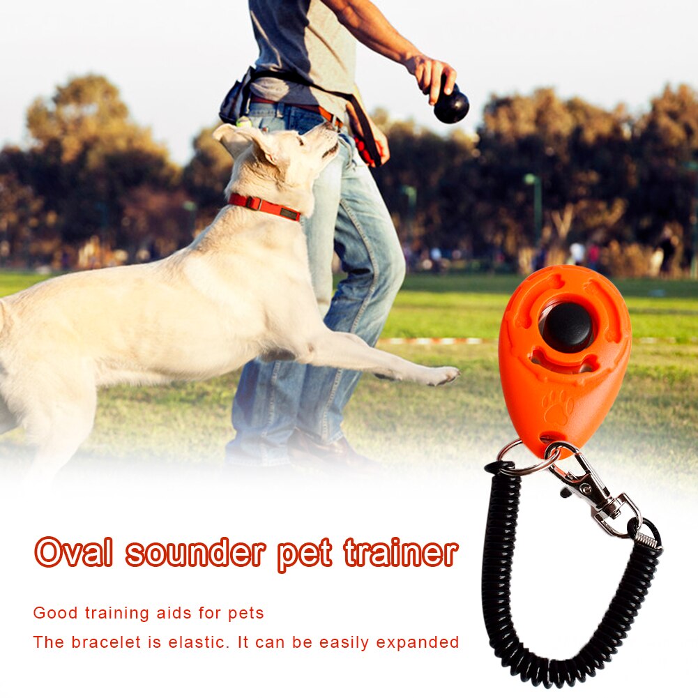 Correa de policarbonato para perros, accesorio de entrenamiento para perros y mascotas, Perro inteligente, 1 unidad