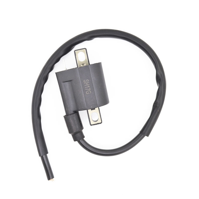 Motorfiets Bobine voor 50cc 125cc 150cc 200cc 250cc Chinese ATV Quad Dirt Pit Bike Scooter Buggy Motor