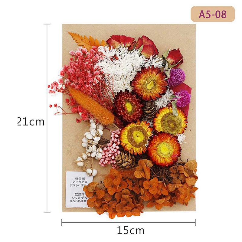 Fleur pressée mélangé fleurs séchées matériel pour bricolage aromathérapie bougies carte de voeux époxy artisanat boucles d'oreilles FAS6: Lemon yellow