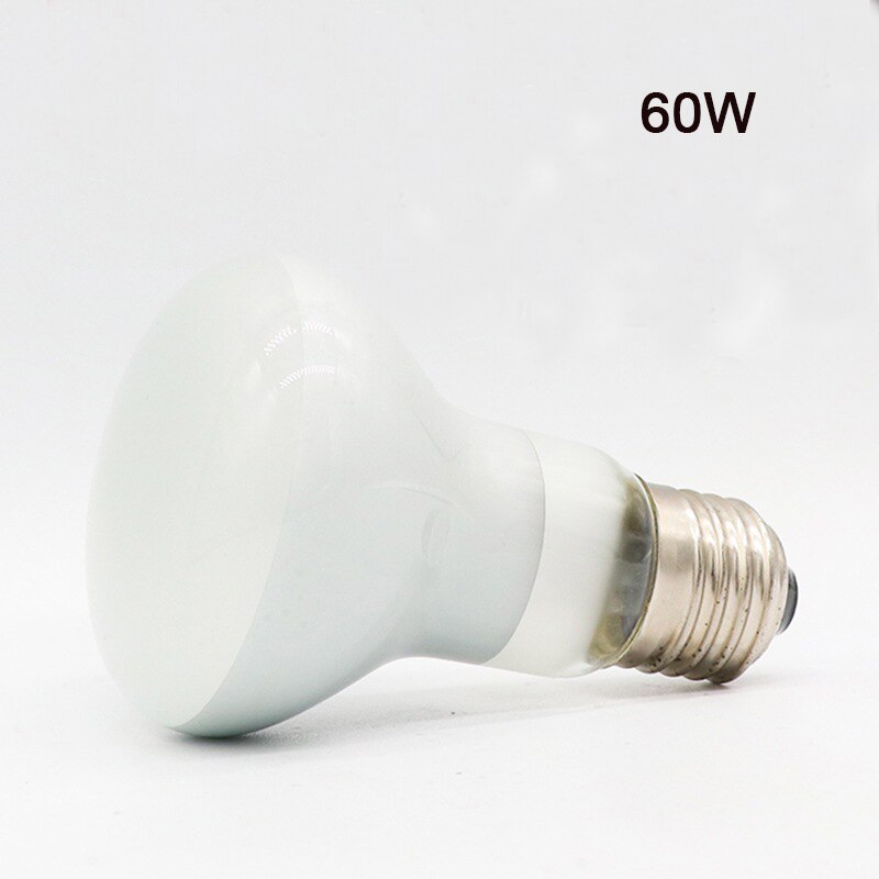 Lámpara calefactora para reptiles, luz roja cálida de noche, aislamiento térmico para lagartos, tortugas, iluminación de animales: White-60W