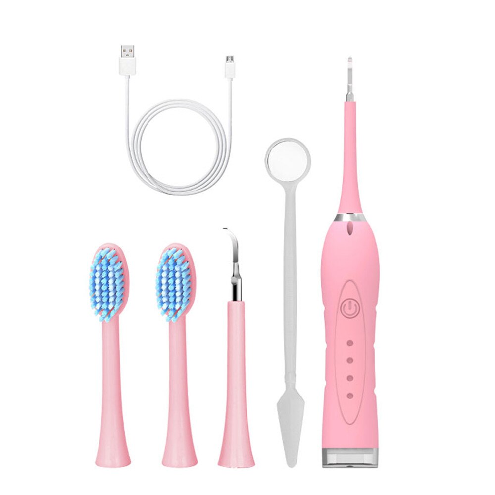 Electric Toothbrush Sonic Wave Rechargeable Top Smart Chip Toothbrush Head Replaceable Whitening Tooth brush: ANG000149-Pi