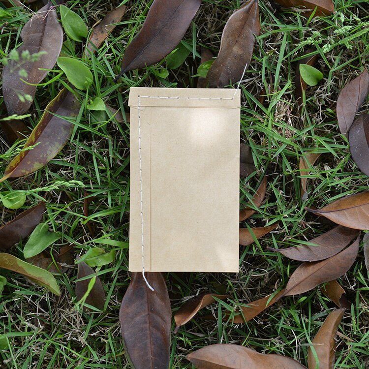 Kraft Paper Seed Envelopes Mini Packets Envelopes Garden Storage Bag For Plant Fruit Kraft Paper Bag Food Tea Small Storage