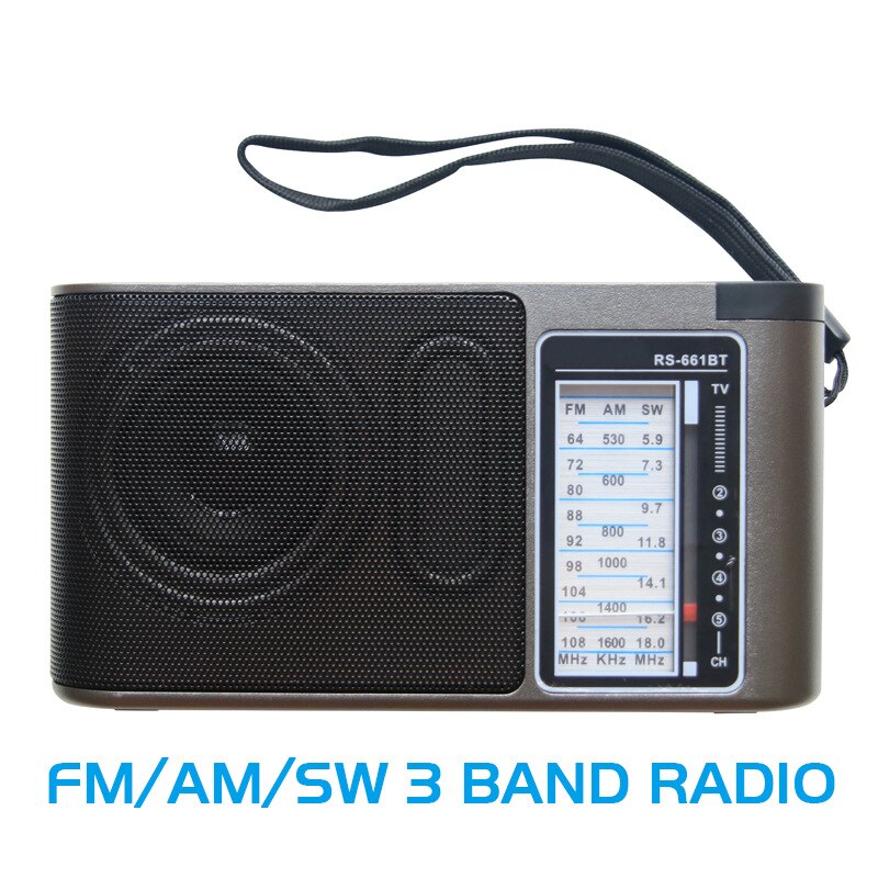 Portatile 4 bande FM. Radio professionali ad alta sensibilità Radio TV/ AW/SW con USB, lettore TF e connessione Bluetooth