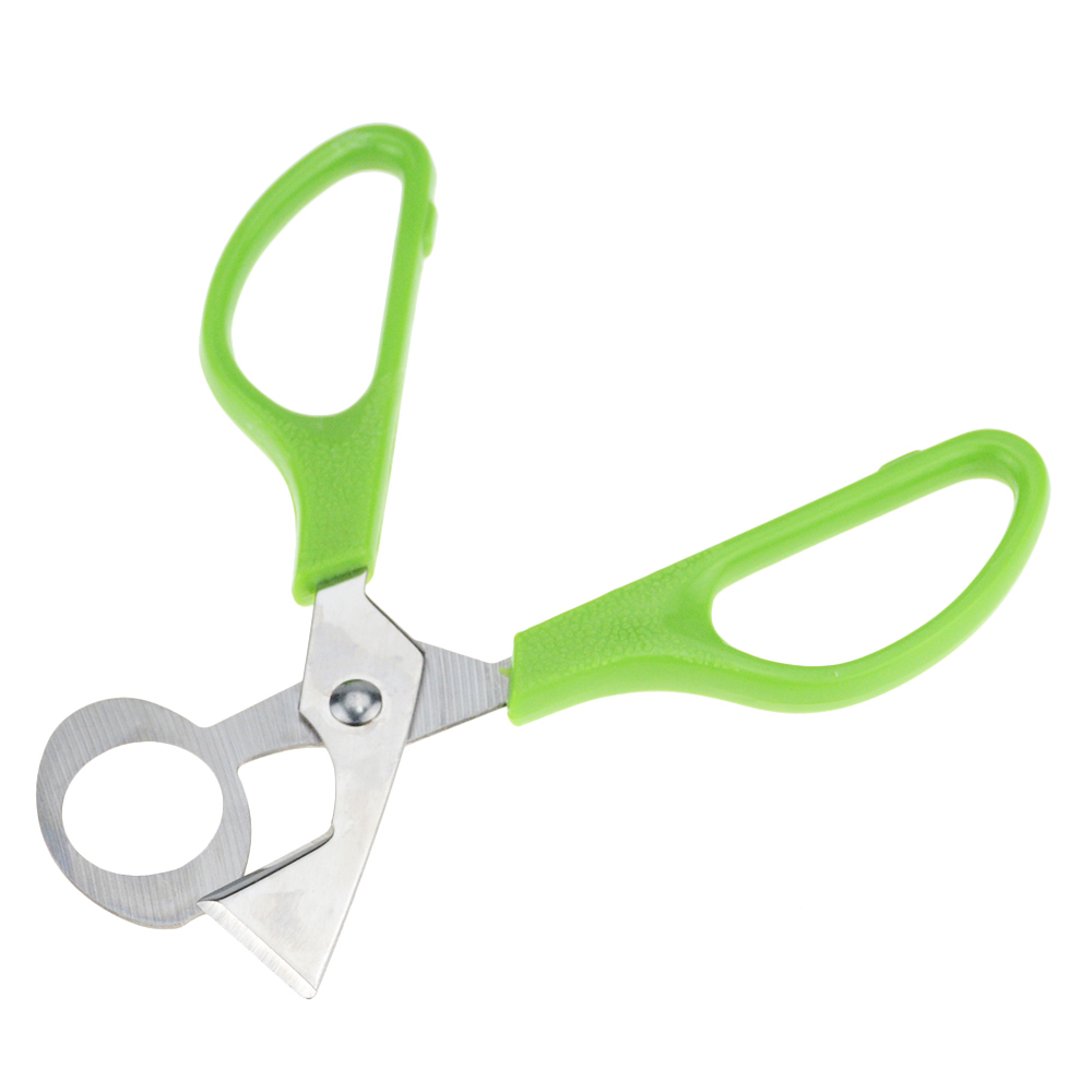 Coupe-œufs à caille, Pigeon ciseaux, coupe-œufs, ouvre-œufs, coupe-œufs, outil de ménage, accessoires Gadgets 1 pièce