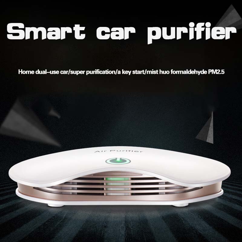 Mini Air Purifier for Home Deodorizer Negative Ion USB Rechargeable Formaldehyde Smoke Odor Remover Portable Car Air Purifier: TYPY-4