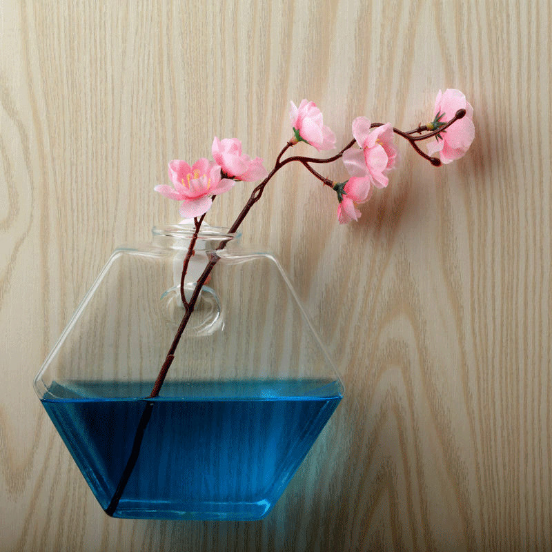 Unieke hangende bloempot, bolvormige vaas van helder glas, hydrocultuur terrarium, wand aquarium, potplant, bloem, fles, decoratie aquarium