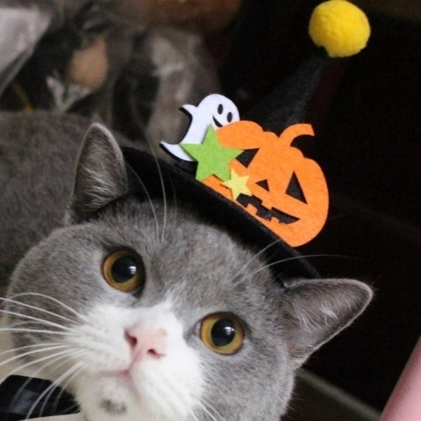 Halloween Party Pet Hoed Spoken Pompoen Hoofdtooi Doek Cap Kleine Hond Kat Grappige Halloween Kostuum