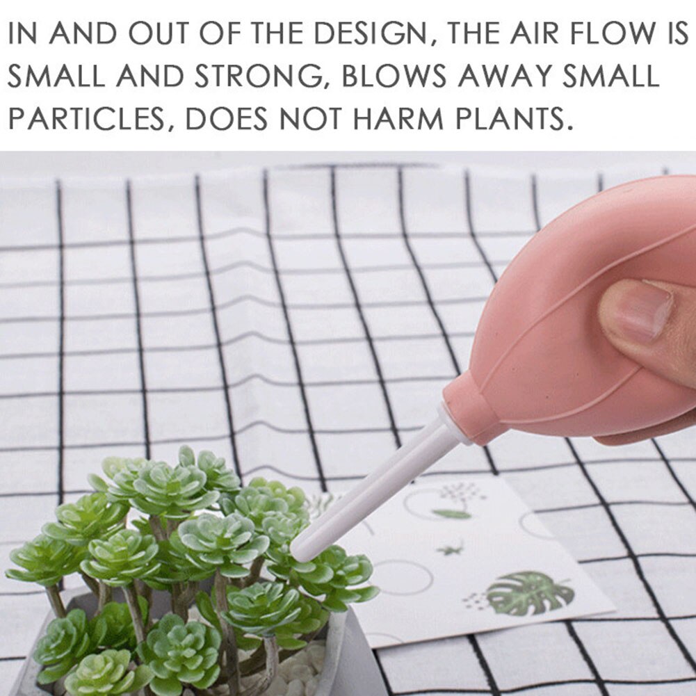 Garden Planter Kit Succulent Planting Bonsai Fertilizer Transplant Seedling Tool Transplanting Tool Indoor Gardening