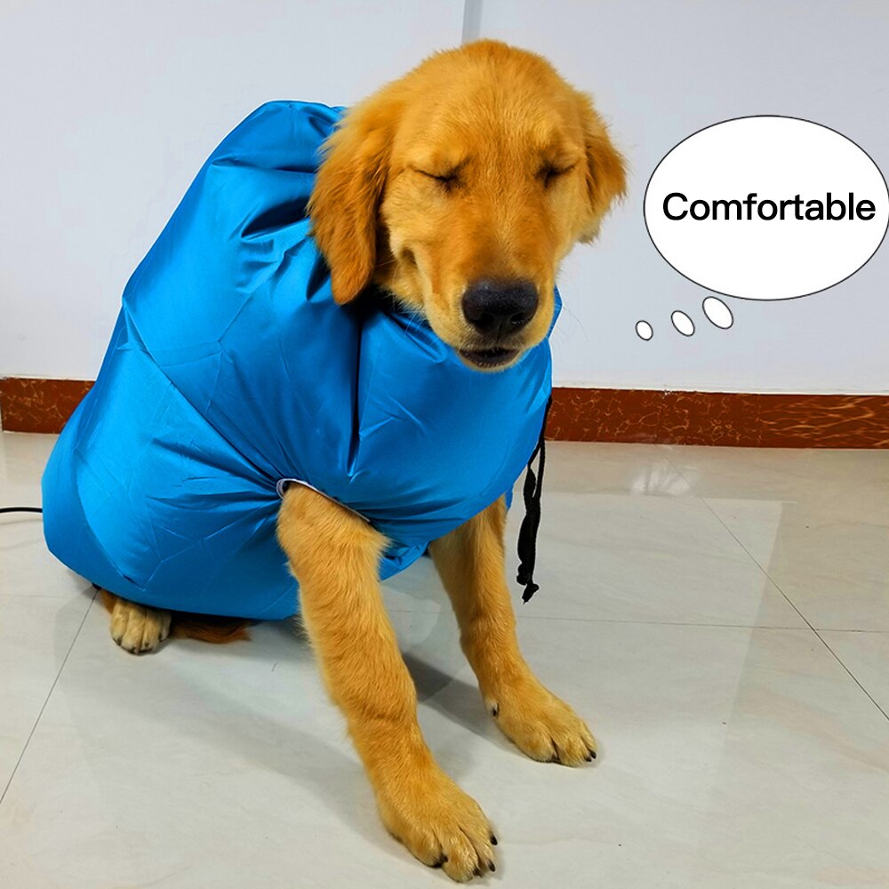 Dog Dryer Puff and Fluff Cheap Grooming Dryer Pet Hair Dryer Blower Summer French Bulldog Chihuahua Cat Ropa Perro Pug Hond Dog