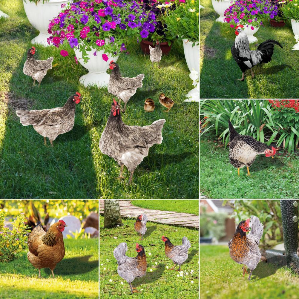 Ornamental Eco-friendly Rooster Decor Garden Statue Chicken for Garden