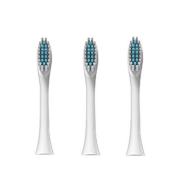 Sonic Electric Toothbrush Rechargeable Adult Timer Brush 42000 Time/Min Ultrasonic Washable Electronic Whitening Teeth Brush: MULTI