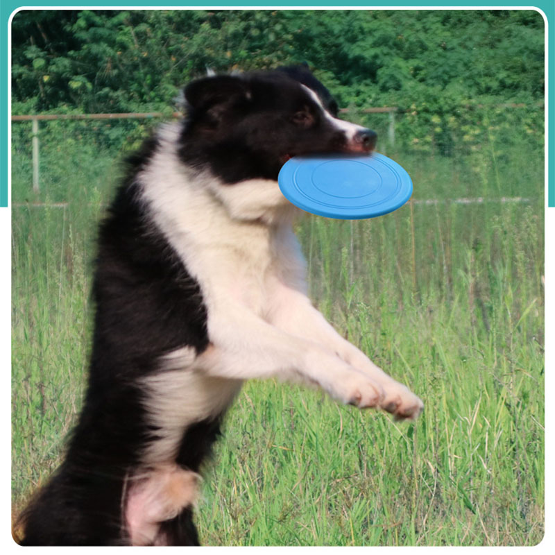 Platillo volante de plástico divertido para perro, juguete para mascotas, discos voladores resistentes, mordedores, adiestramiento de cachorros, 1 unidad