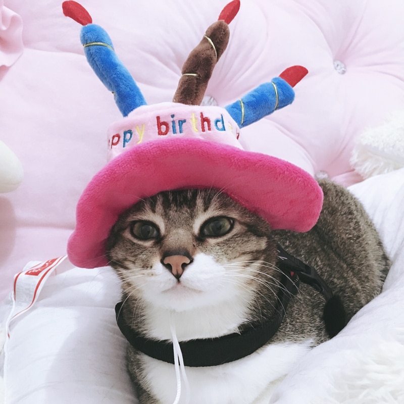 Grattis på födelsedagen husdjur katt hatt mössa för katt julfestival husdjur tillbehör söta hattar produkter för katt kattunge huvudbonader tillbehör