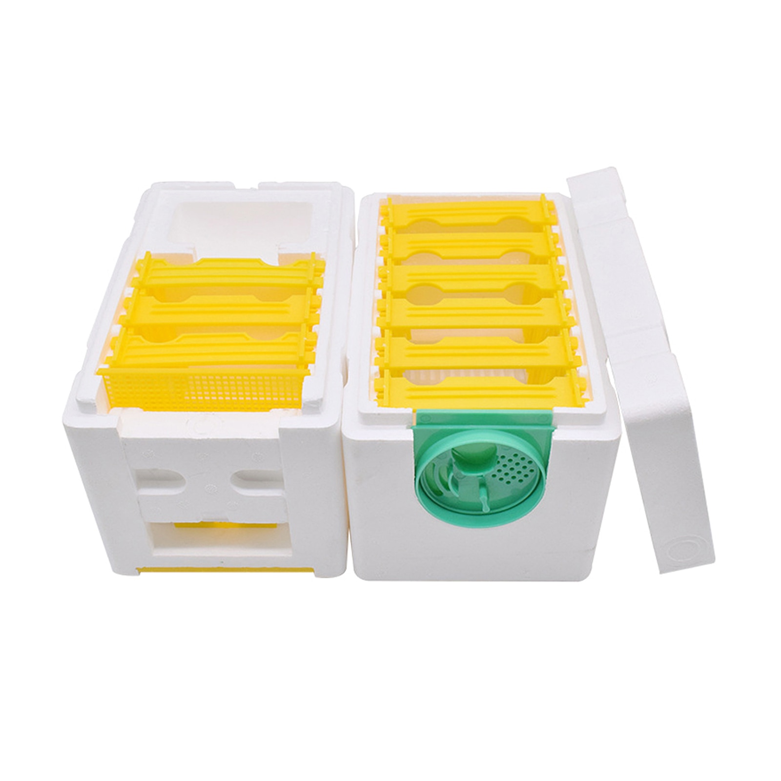 Bijenteelt Koning Doos Oogst Bijenkorf Bijenkorf Nest Oogst Bijenkorf Doos 1Set Foam Tuin Tool Single Layer Enkele laag Schuim Doos